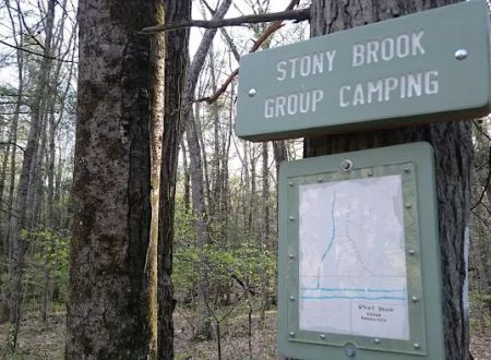 Group Camp Sites