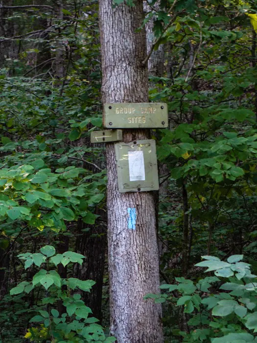 Group Camp Sites Picture 4