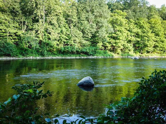Group Camp Sites Picture 5
