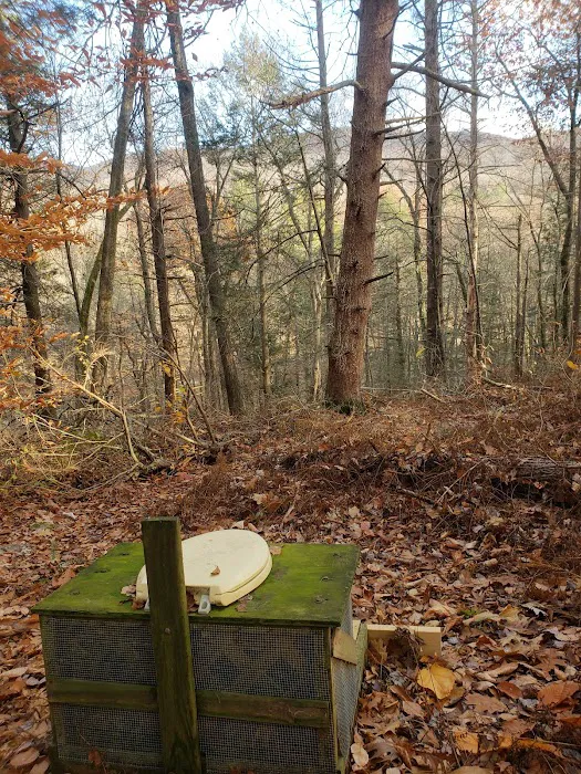 Group Camp Sites Picture 8