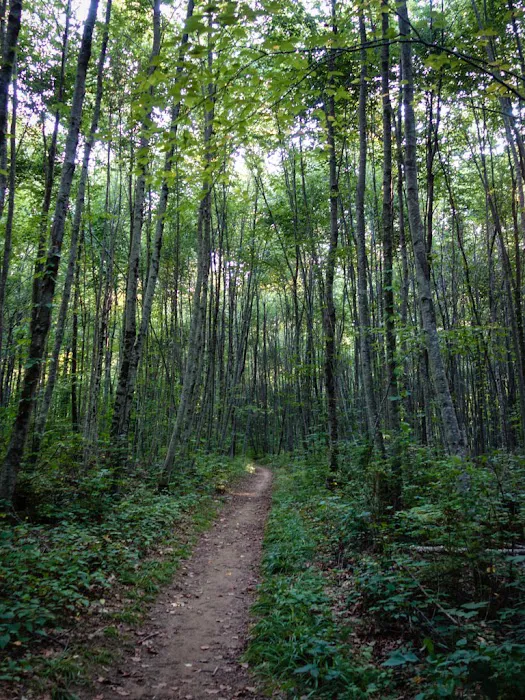 Group Camp Sites Picture 10