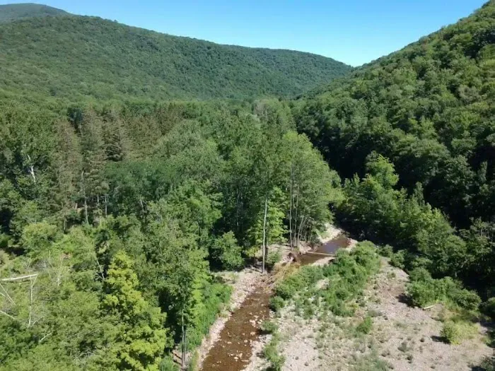 Upper Esopus Creekside Camp Picture 10