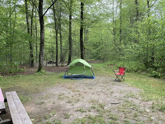 Mongaup Pond Campground Picture 3