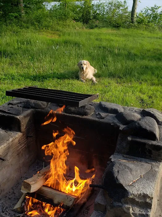 Mongaup Pond Campground Picture 5