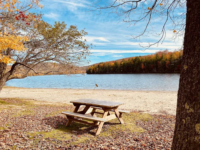 Mongaup Pond Campground Picture 6