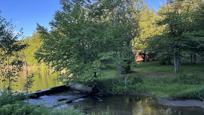 Mongaup Pond Campground Picture 4