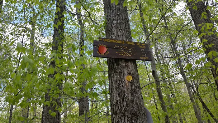 Mongaup Pond Campground Picture 9