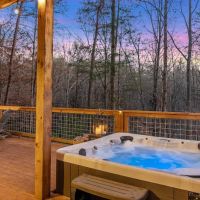 The Reserve at Fireside ico