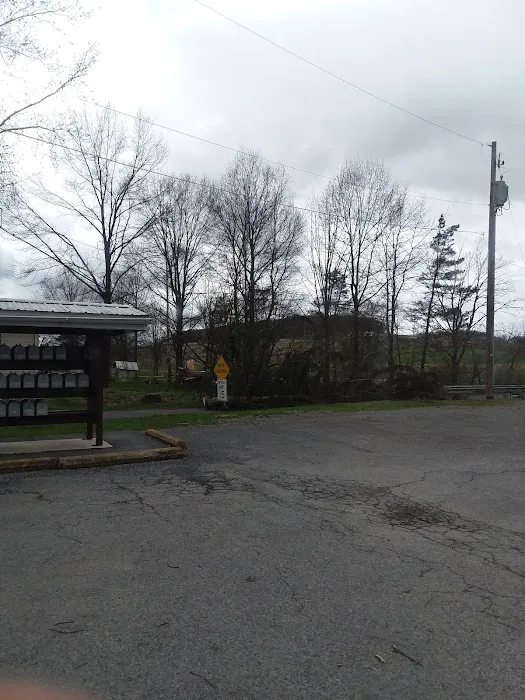 Blue Springs Village Picture 2