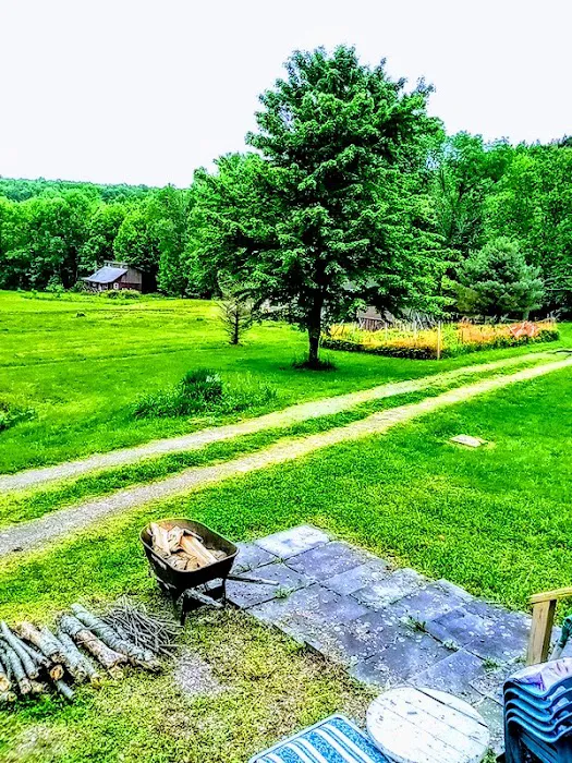White's Mobile Home Park & Campground, LLC Picture 3
