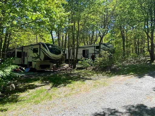Peaceful Woodlands Family Campground Picture 4