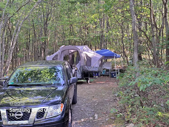 Peaceful Woodlands Family Campground Picture 8