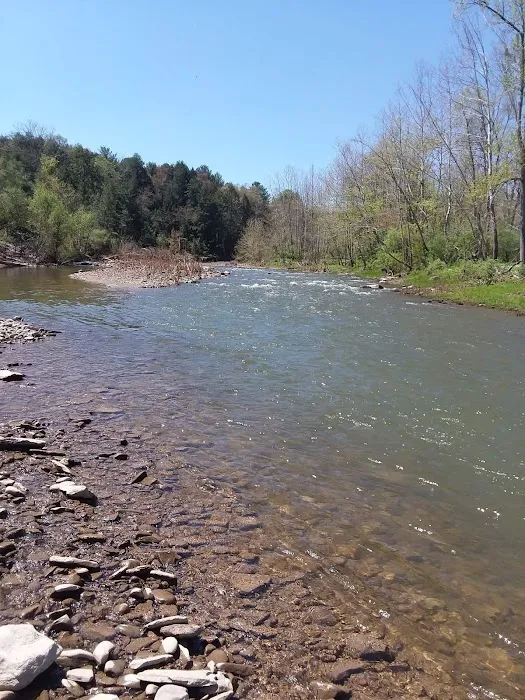 Sugar Creek Rv Park Picture 2