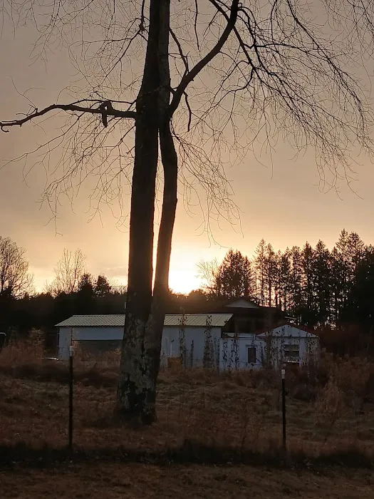 Sugar Creek Rv Park Picture 4