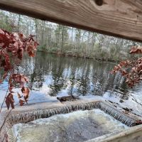 Bellplain State Forest Astronomy ico