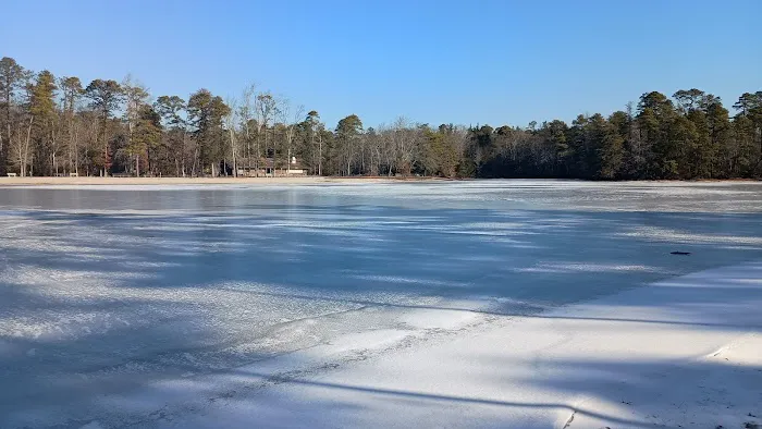 Lake Nummy Picture 5