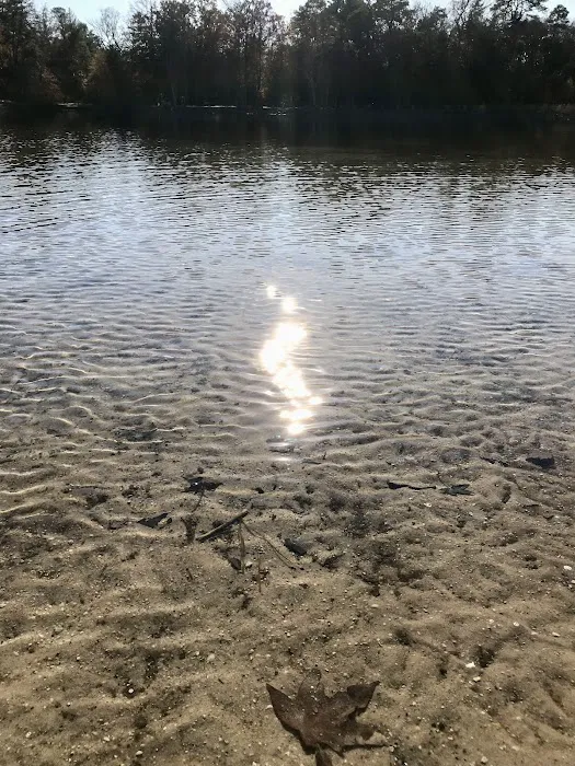 Lake Nummy Picture 9