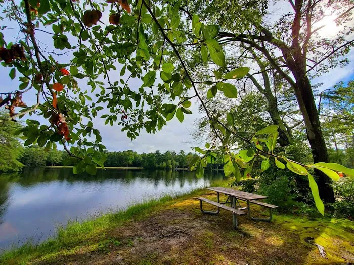 Lake Nummy Picture 7