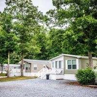 Carol Lynn Resorts East ico