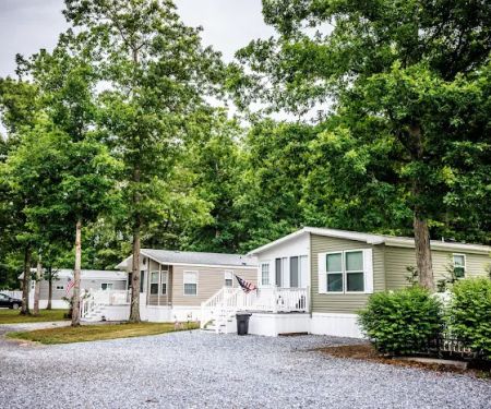 Carol Lynn Resorts East