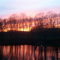 Sunny Waters Mobile Home Park ico