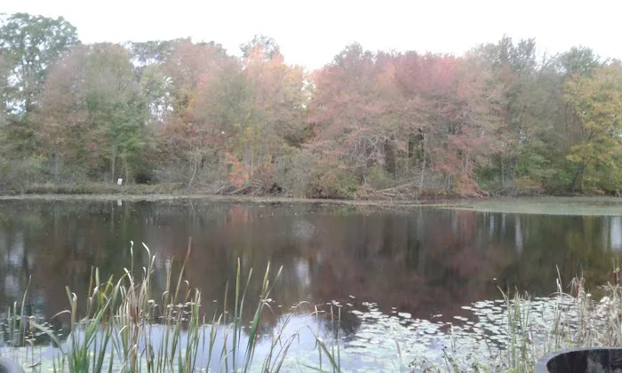 Sunny Waters Mobile Home Park Picture 3
