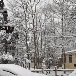 Seashore Line Camper Resort Condominium Association, Inc.