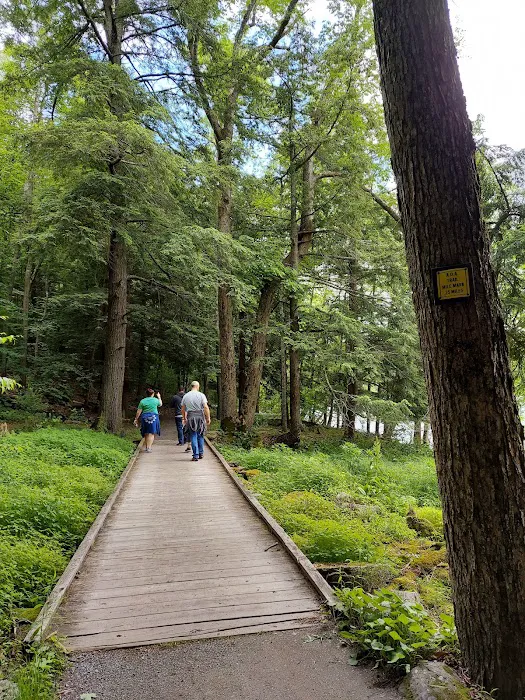 Little Pond Campground Picture 5