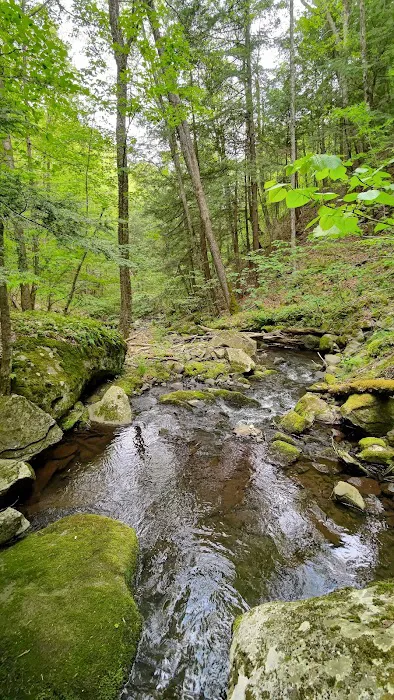 Little Pond Campground Picture 8
