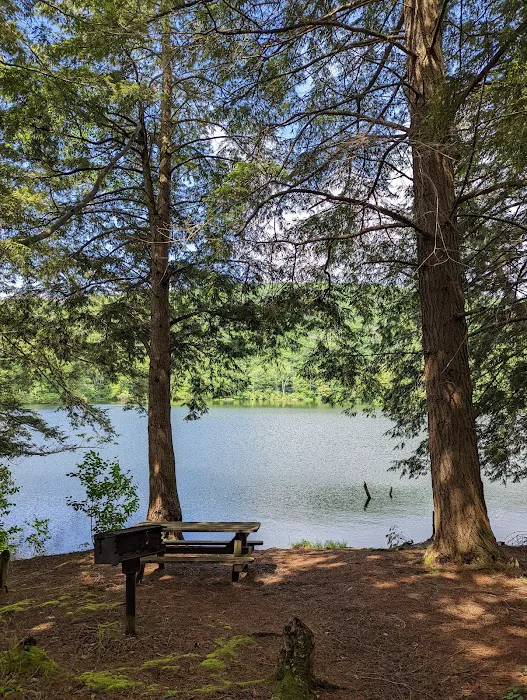 Little Pond Campground Picture 10