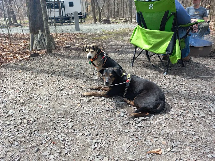 Tobyhanna Campground Picture 3