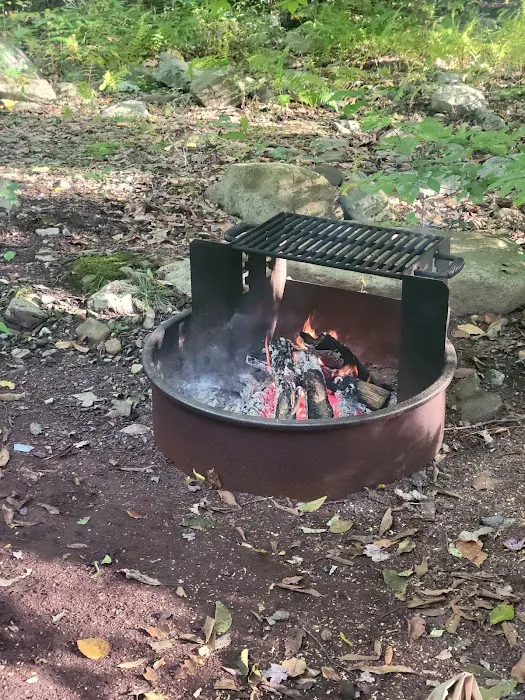 Tobyhanna Campground Picture 4