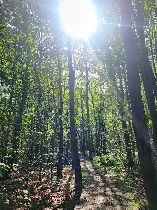 Tobyhanna Campground Picture 6