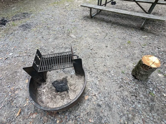Tobyhanna Campground Picture 9