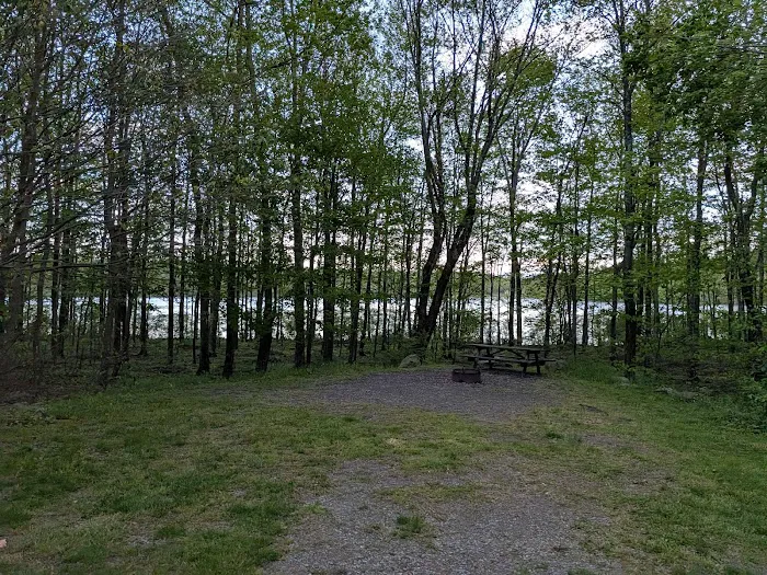 Tobyhanna Campground Picture 10
