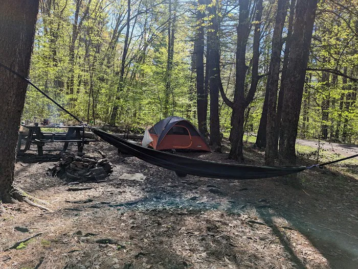 Allaben Campground Picture 2