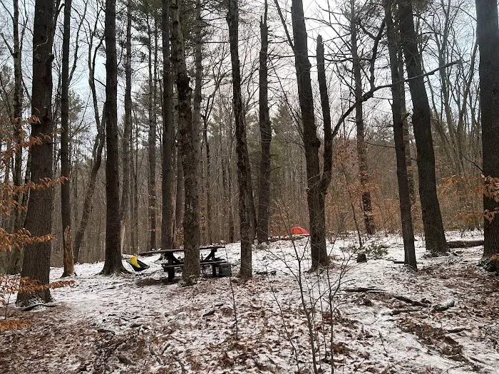 Allaben Campground Picture 5