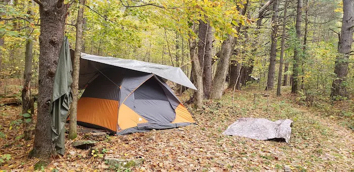 Allaben Campground Picture 3