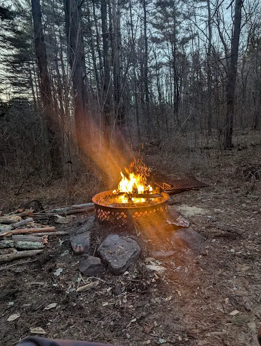 Allaben Campground Picture 4
