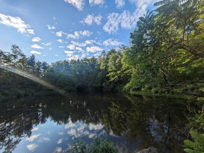 Allaben Campground Picture 10