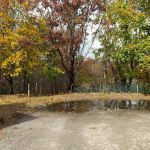 Peconicview Mobile Home Park