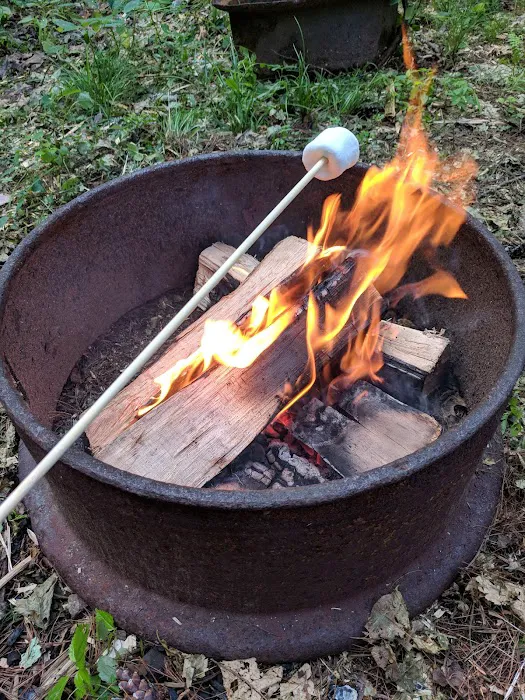 Blue Mountain Campground Picture 6
