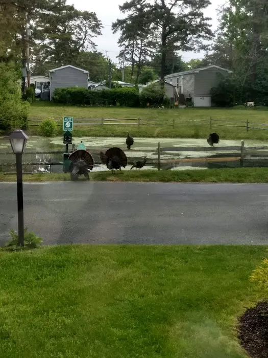 Riverwoods Mobile Home Community Picture 1