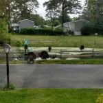 Riverwoods Mobile Home Community