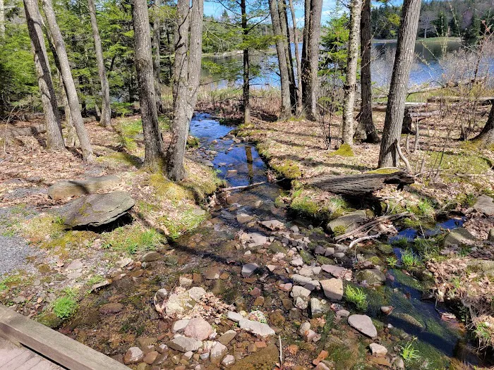 North/South Lake Campground Picture 7