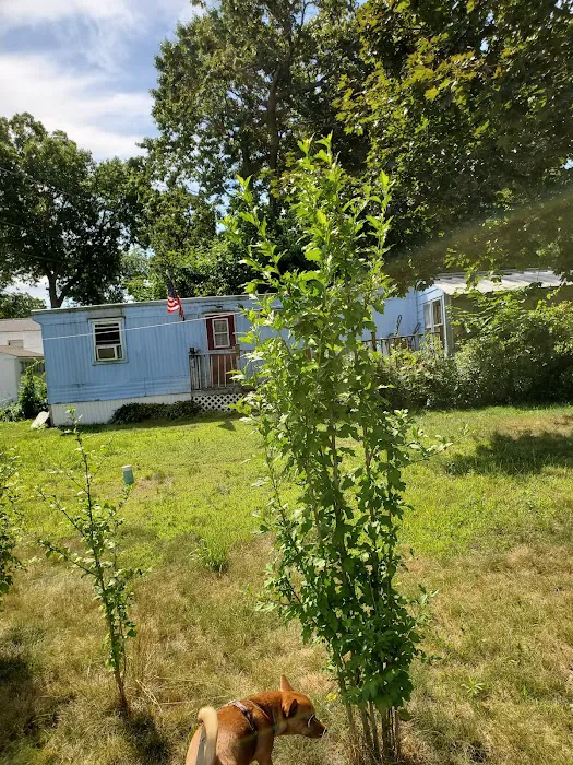 Blue Bird Acres Picture 3