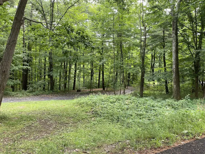 Lake Taghkanic State Park Campground Picture 9