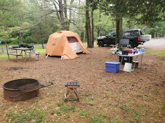 Lake Taghkanic State Park Campground Picture 7
