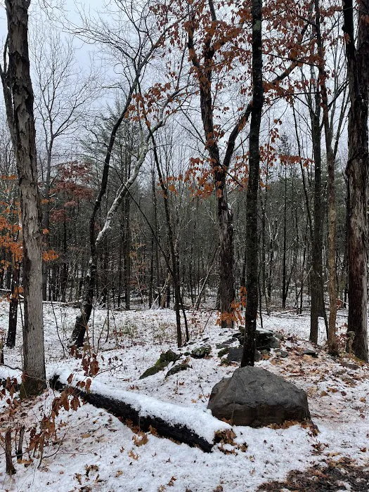 Getaway Eastern Catskills Campground - Castle Road Picture 9