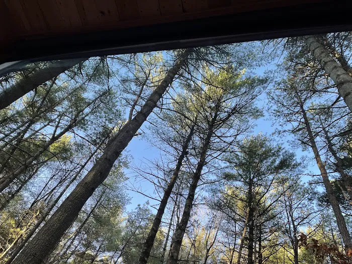 Getaway Eastern Catskills Campground - Castle Road Picture 7